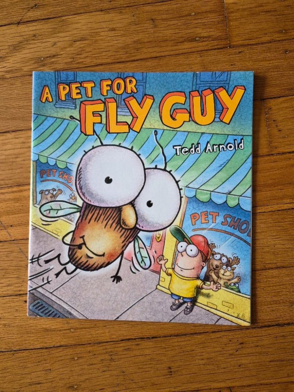 A Pet For Fly Guy